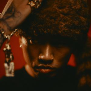 网页优惠券小鲤导航
