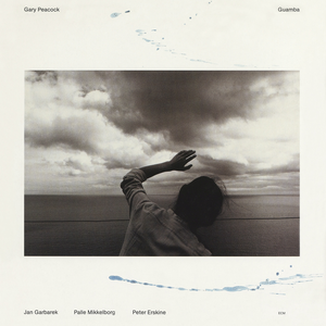 网页优惠券小鲤导航
